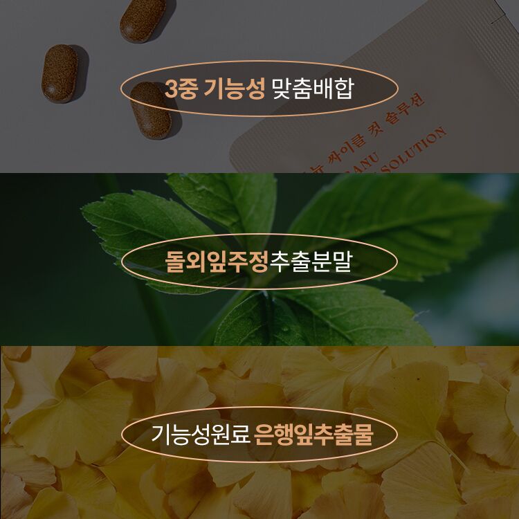 03.jpg